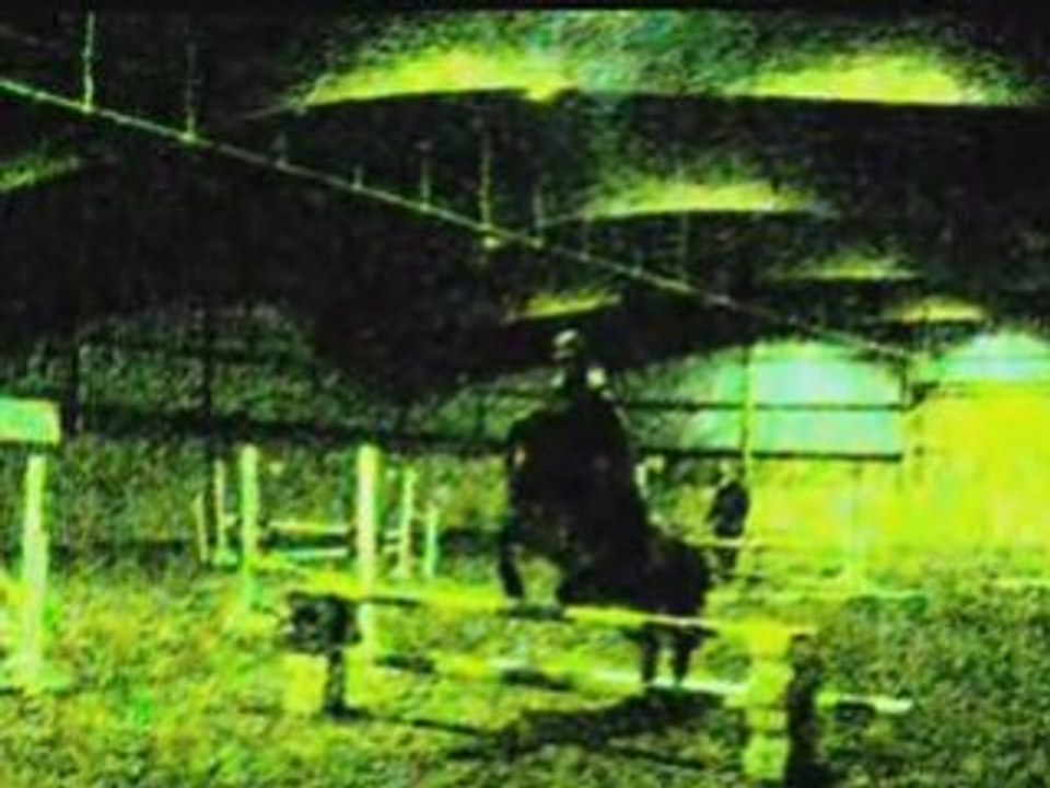 Springreiten auf dem Reiterhof in Leipzig