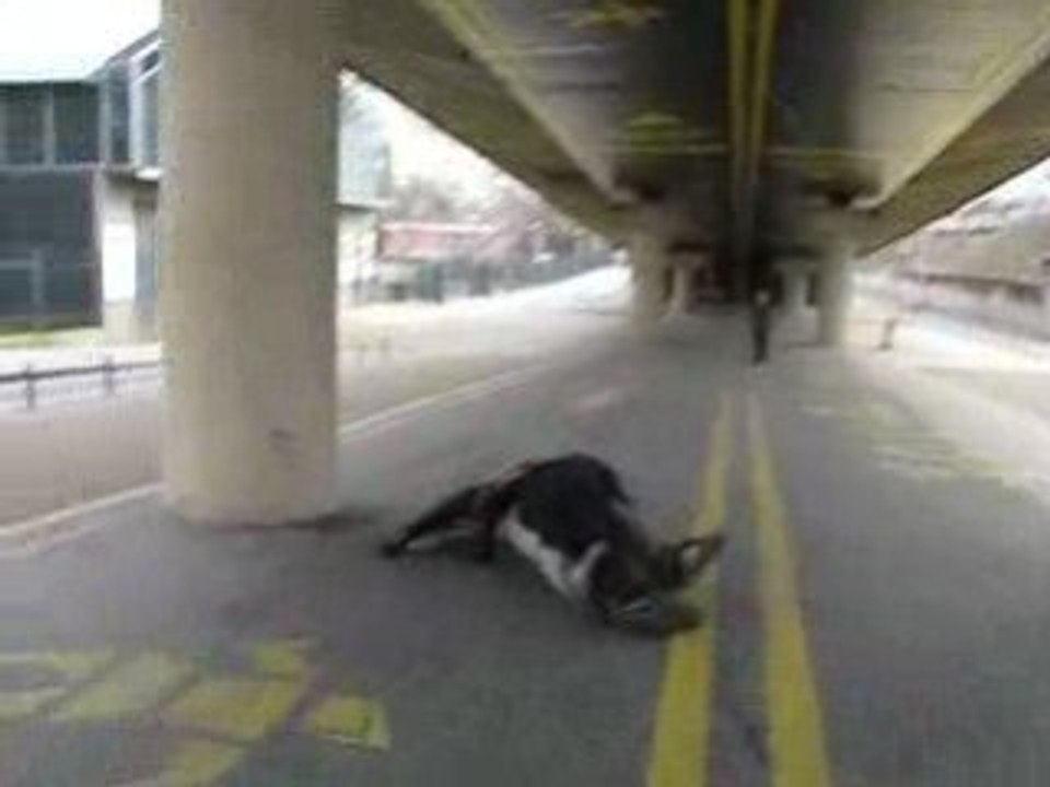 La Fluide au transbo ....