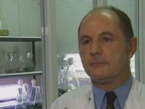 Scientists reduce carbon dioxide by turning algae into fuel