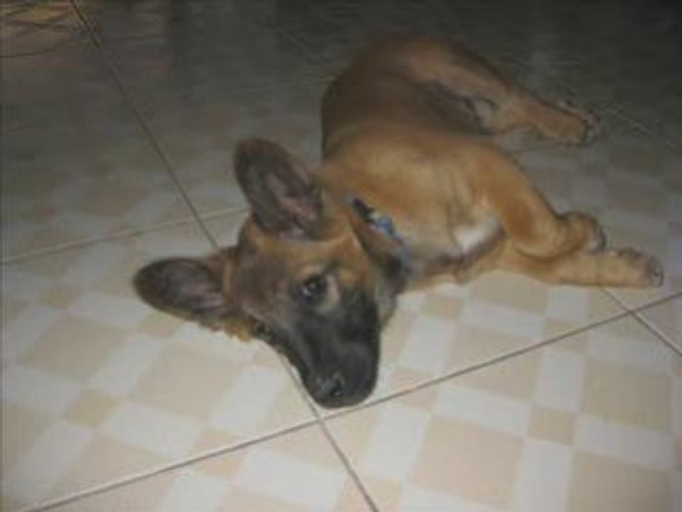 In loving memoriam of "Cafe"