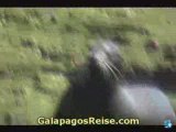Galapagos Tour - The Galapagos Islands