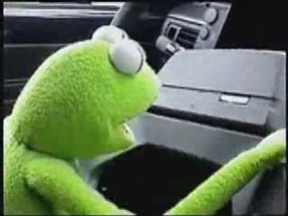 Une journée ordinaire d'un Kermit