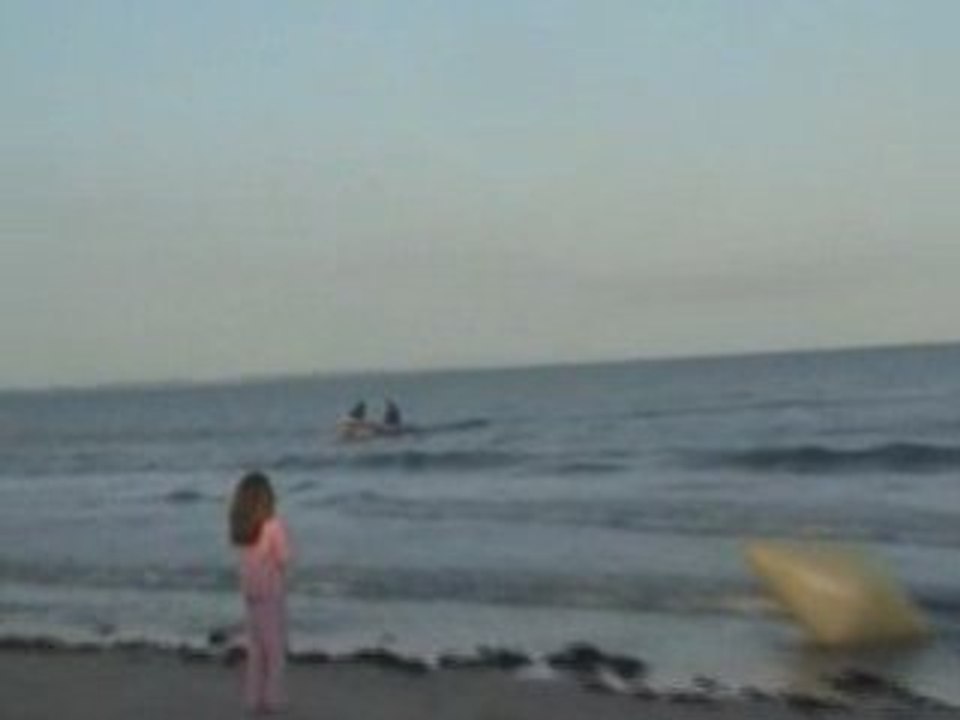 juillet 2008 baleine au treustel