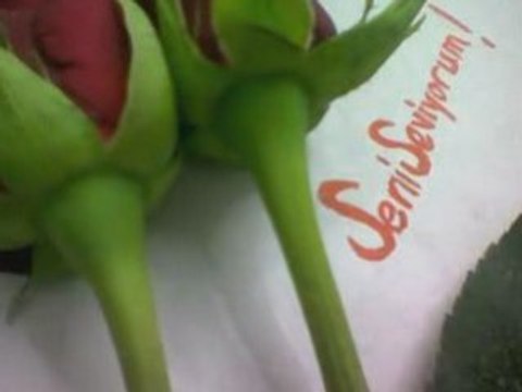 Aslı Güngör - Ah Bu Çalan Şarkımız