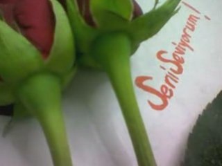 Aslı Güngör - Ah Bu Çalan Şarkımız