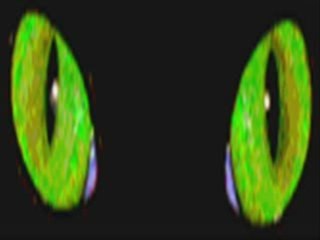 السموم البشرية وتأثيرها على الصحة