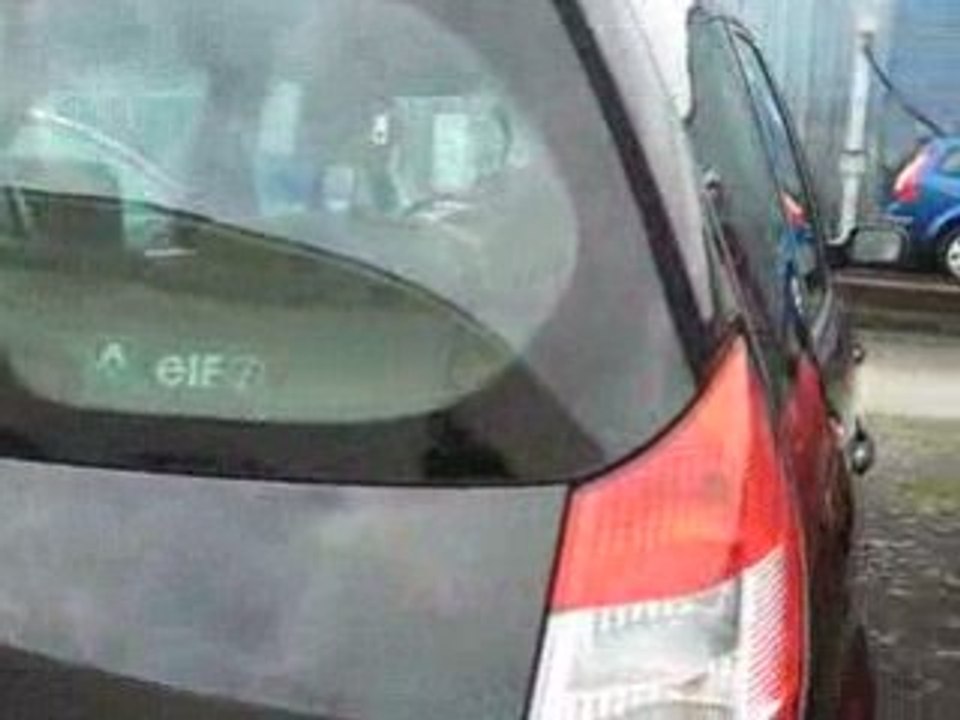 Renault-scenic