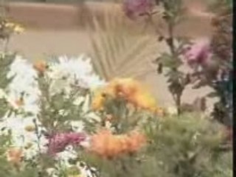 Fianarantsoa- Madagascar