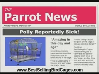 Cages to Keep Your Parrot Alive and Healthy