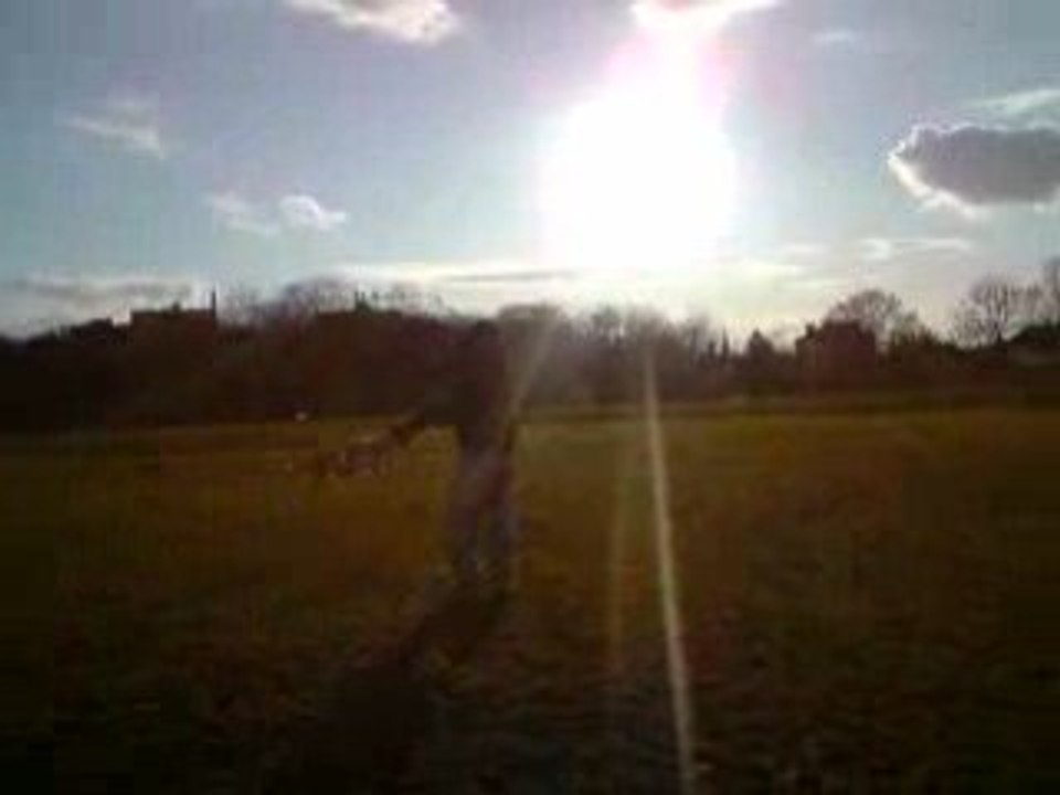 V110209_16.37