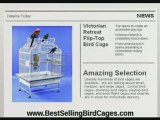 Clean Cages to Keep Your Parrot Alive and Healthy