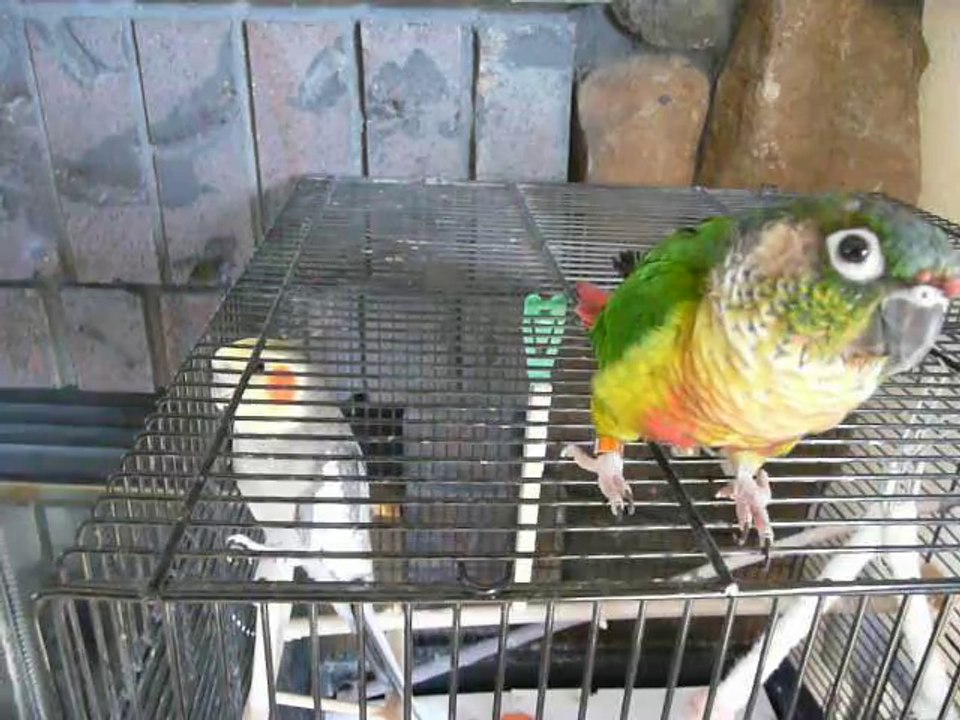 P1010597