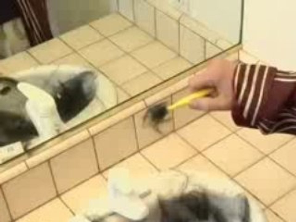 Crazy T-Shirts Jesus Shaves | Crazy T-Shirts | Jesus Shaves