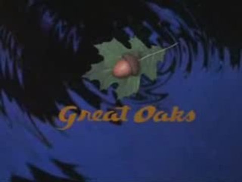 Great Oaks