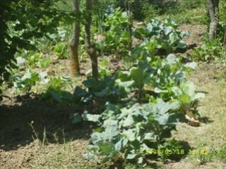 Bartın Kumluca Kumlucadan Manzaralar