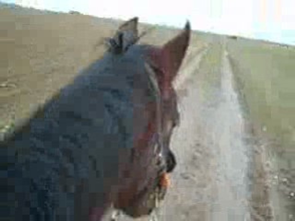 petit trot avec quassou