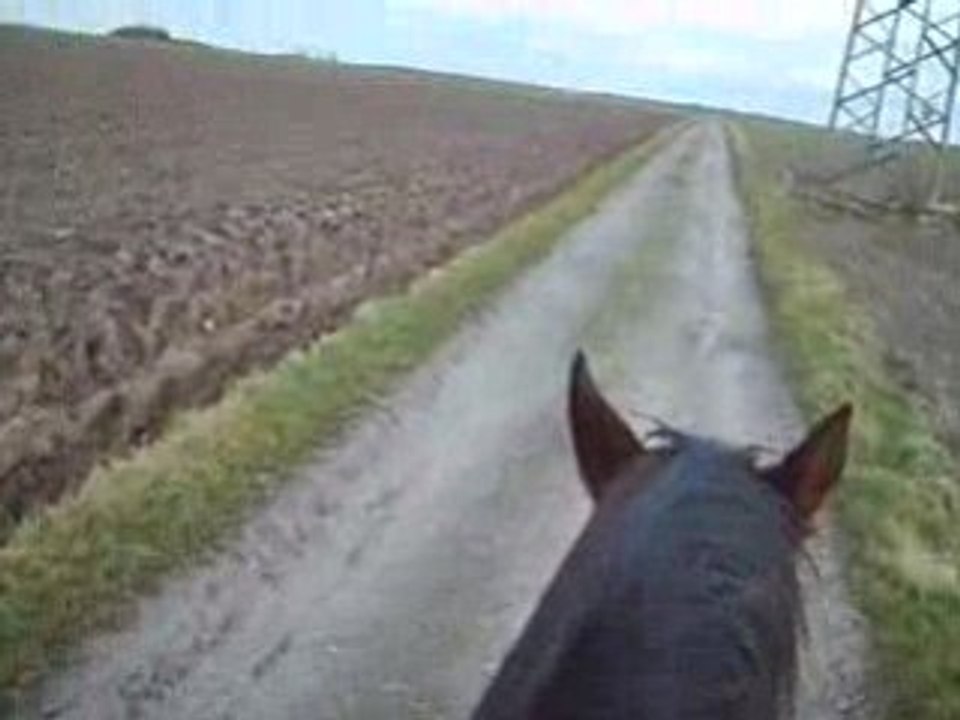petit pas après un bon galop
