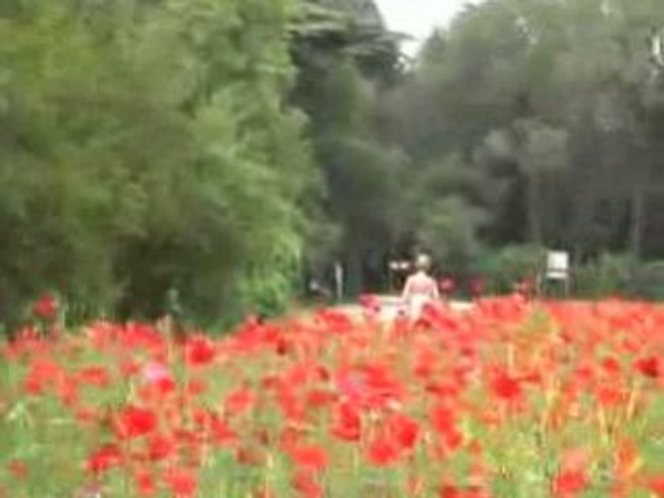 Un soir sans fleurs
