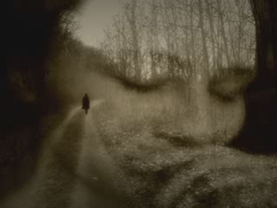 dit moi que tu m aime