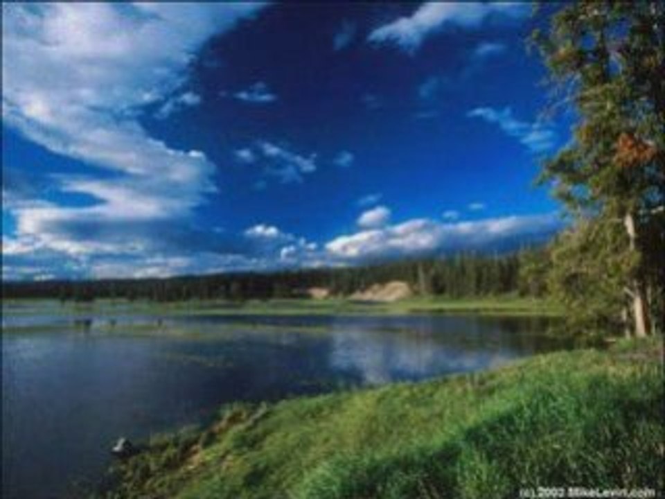 Yellowstone 3