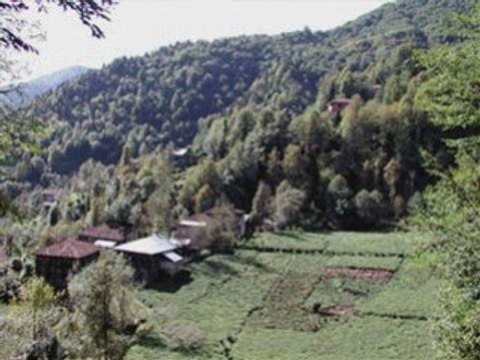 çamlıhemşin-tulum-dindar -güner-6-kavrun.tr.gg