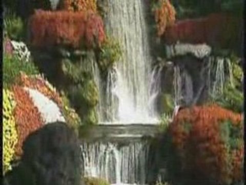 Hair Grow Plus - Hair Capil Plus commealatv.com à 25€