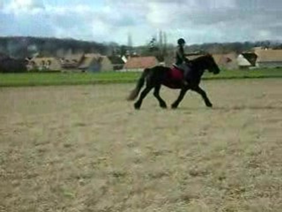 étalon merens dépit basterne 2