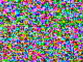 (Herbalife Training) Slow & Steady Wins