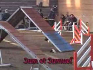 Concours Tichemont 09 - Degrés