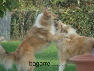 Vidéo pour mamounette