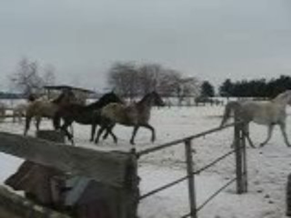 Lydia et Rox 11 Février 2009