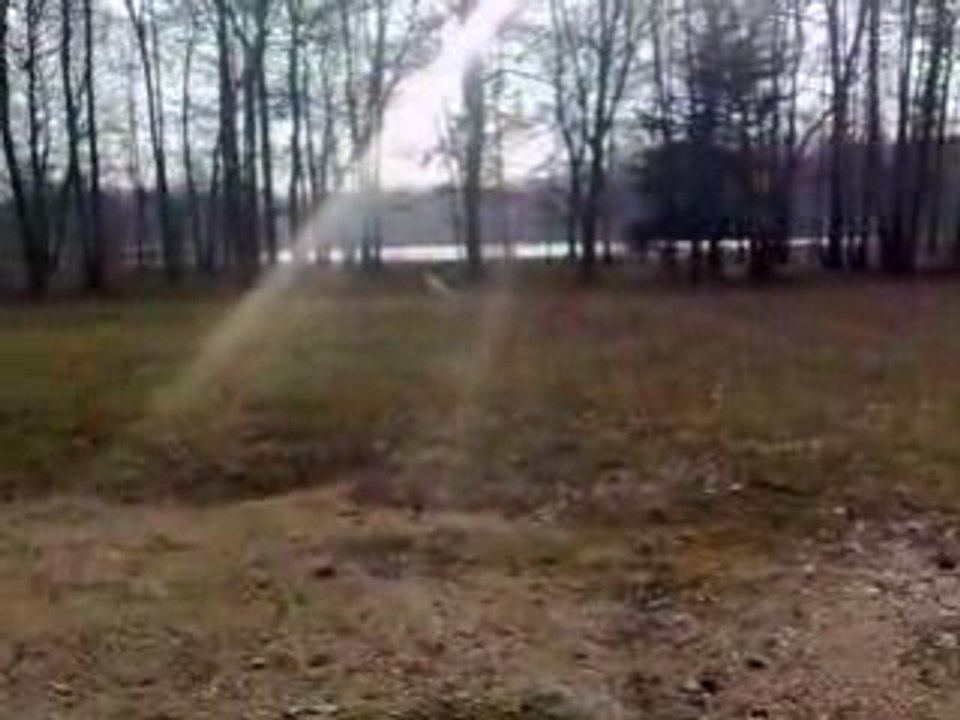 Entrainement de Deedee