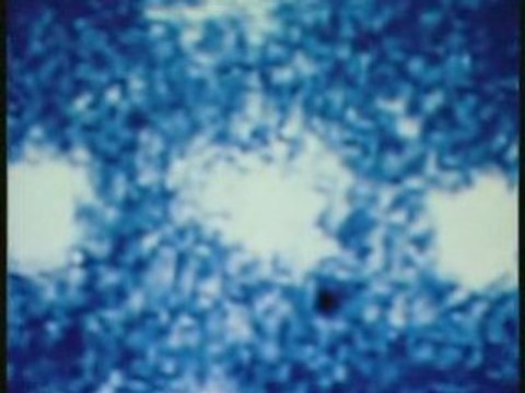 Les mystères du cosmos-plongée dans les trous noirs