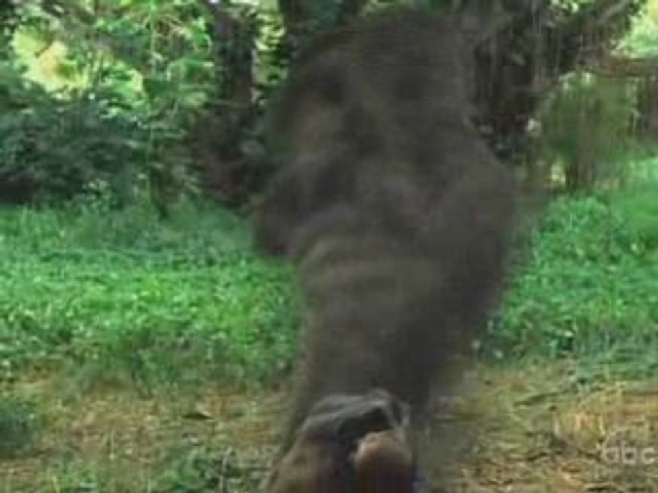 BNE: Psycho Chicks get Lost!