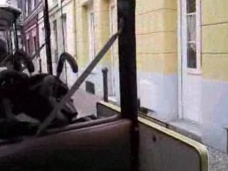 balade en petit train au tréport