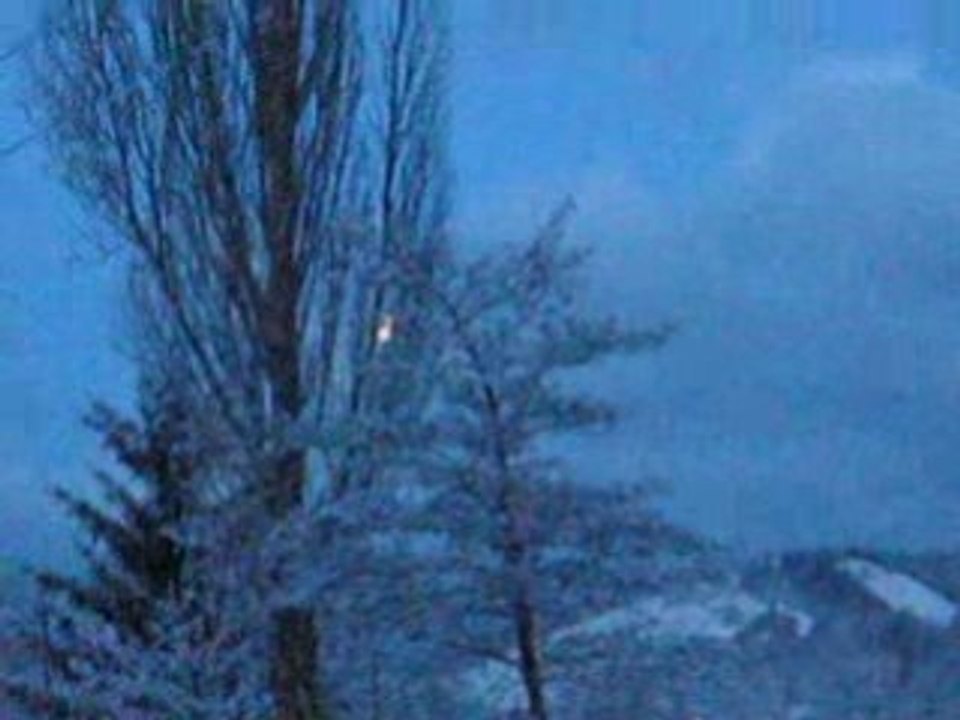 11 février 7h15 du matin, les chiens dans la neige