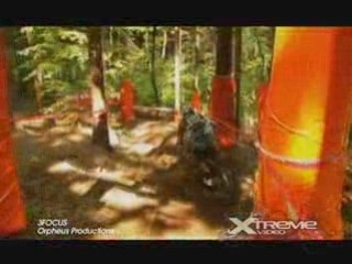 3Focus - Orpheus Productions