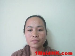 Domestic Agency Hong Kong | Free Internet Marketing ...