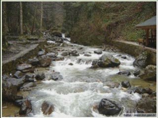 Sarı Gelin Farid FARJAD