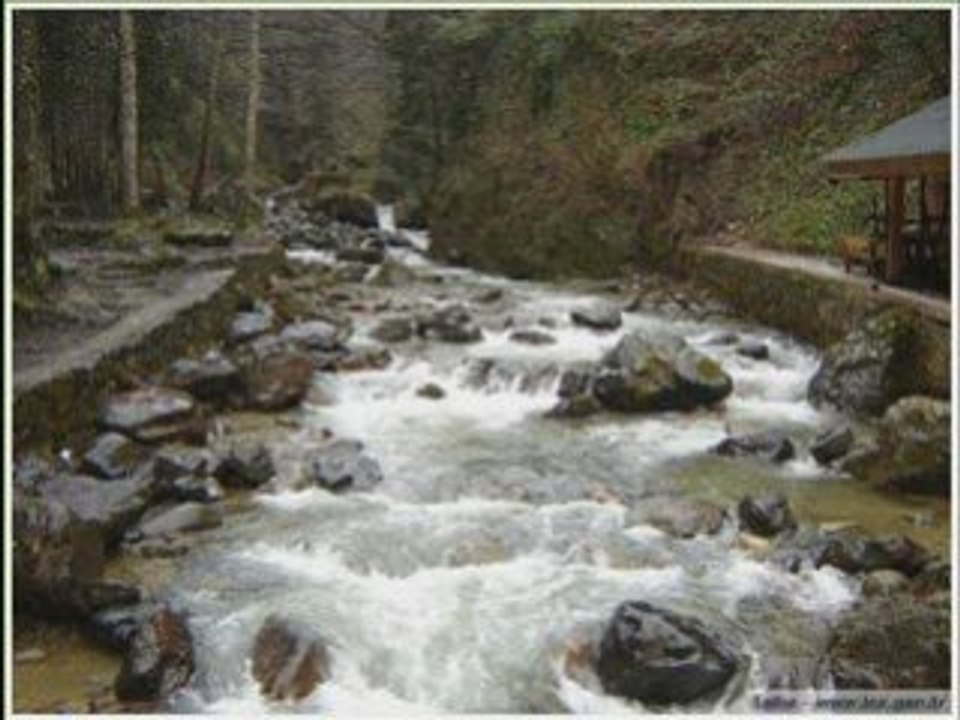 Sarı Gelin Farid FARJAD