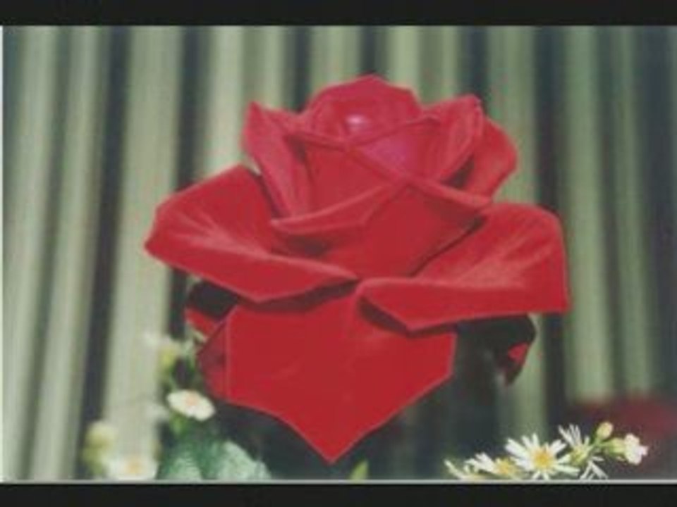 Des Fleurs pour vous