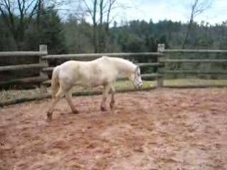 Epson saute (1ère fois)