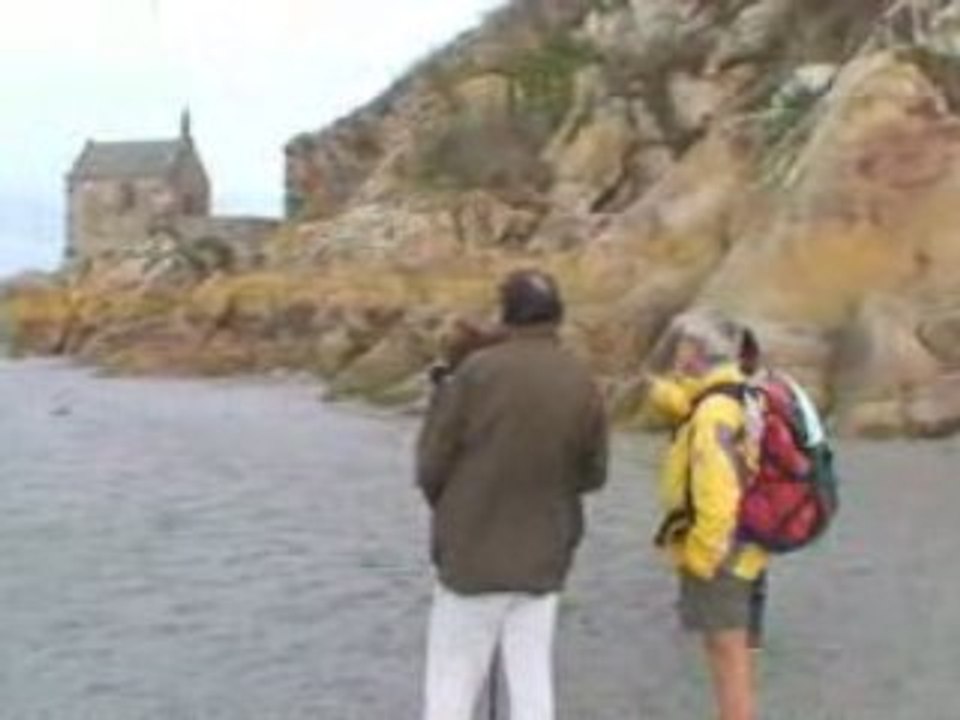 Nature et baie Guide et initiateur Nature, Mont Saint Michel