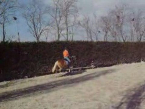 Octa barres au Sol Cours avec Coach fev 2oo8