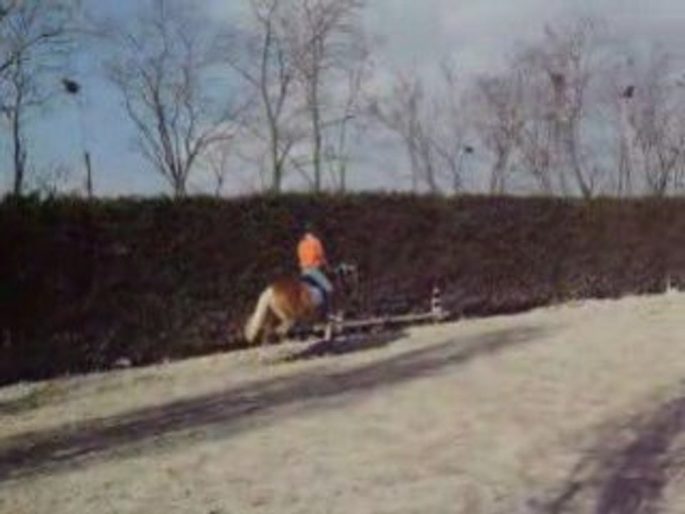 Octa barres au Sol Cours avec Coach fev 2oo8