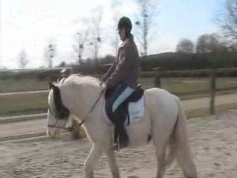 1ere seance monté de Snoopy