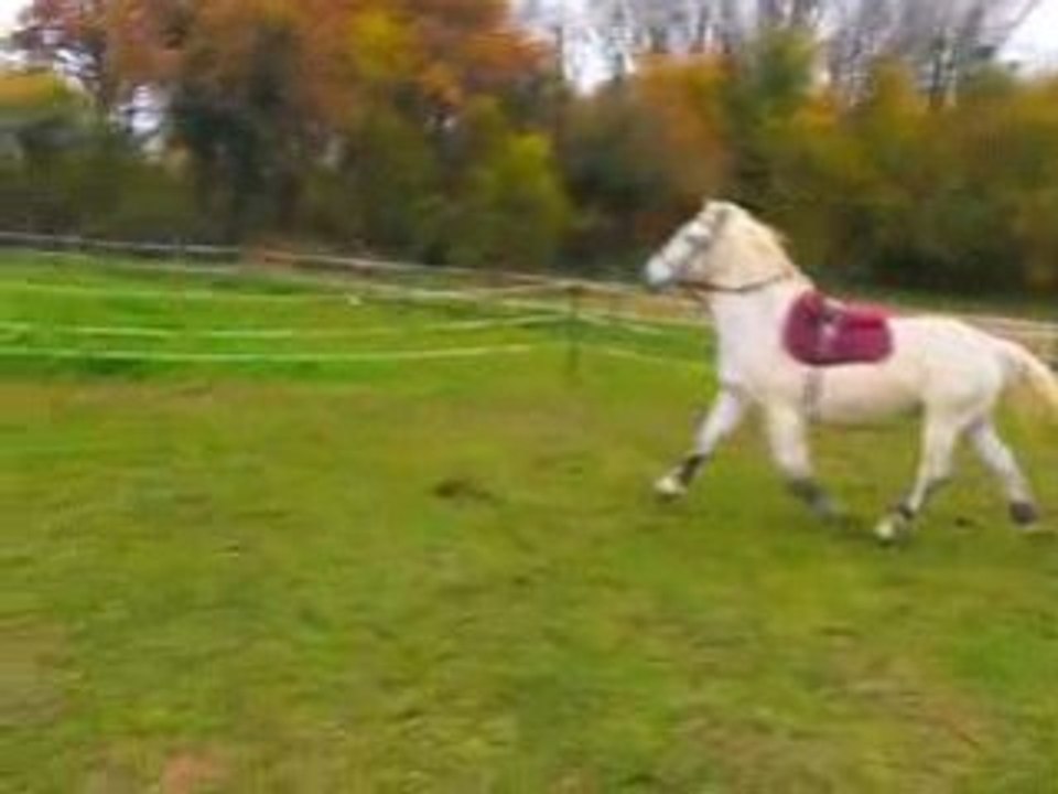 Rond de longe