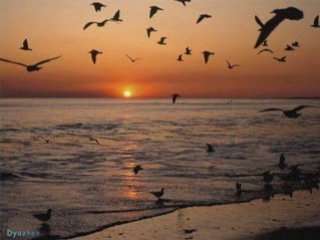 hep  yalan(mustafa  yıldız.)