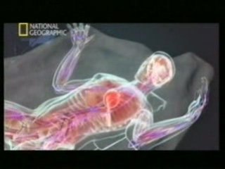 Estres agudo: Fuerza sobrehumana (Sinjin)