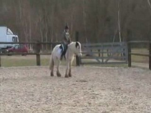 1ere seance de Snoopy monté